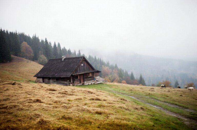 Agroturystyka w Beskidach: gospodarstwa na stokach i dolinach