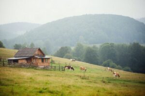 Agroturystyka w Bieszczadach: gospodarstwa, domki i pora roku