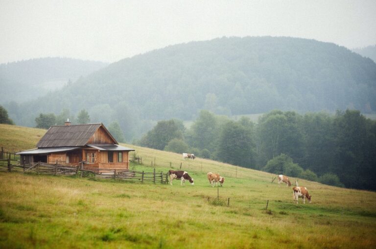 Agroturystyka w Bieszczadach: gospodarstwa, domki i pora roku
