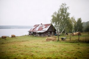 Agroturystyka na Suwalszczyźnie: jeziora, pagórki i domowa kuchnia